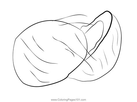 fresh coconut coloring page  kids  coconut printable coloring