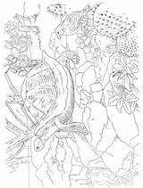 Pages Paradise Tropical Coloring Color Dover Publications Scenes Adult Paint Book Doverpublications Animals Colouring Printable Books sketch template