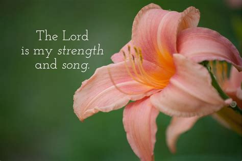 lord   strength   song inspirational quote lord   strength songs