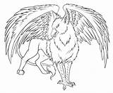Gryphon Colorir Tatoo Finished Adults Pinstopin sketch template