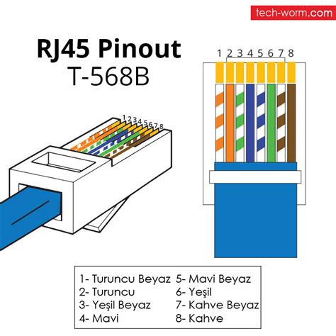 understanding cat wiring diagram  moo wiring