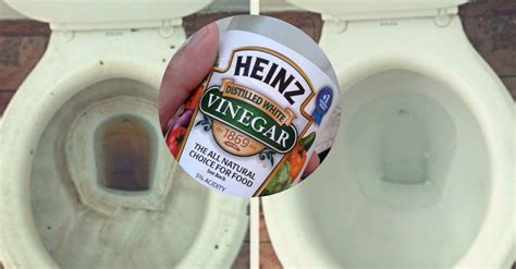heres     put vinegar   toilet