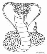 Snake Coloring Pages Snakes Printable Kids Template Cool Viper Popular sketch template