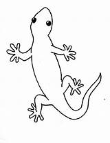 Gecko Geico Geckos Lizards Line Malvorlagen Reptile Samanthasbell Animal sketch template