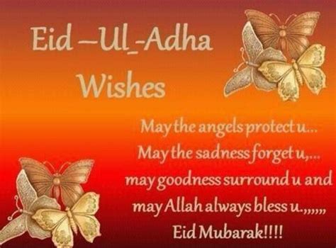 eid ul adha wishes eid al adha wishes eid ul adha messages eid ul