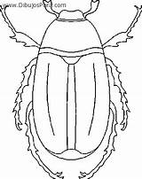 Colorear Escarabajo Escarabajos Colorat Planse Gandaci Insectos Stag Desene Designlooter Dibujospara Bajo sketch template