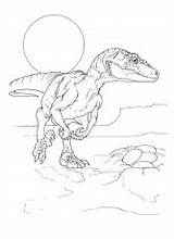 Coloring Deinonychus Related Pages sketch template