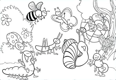 printable insect coloring pages  getdrawings