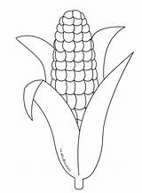 Coloring Corn Stalk Getcolorings sketch template