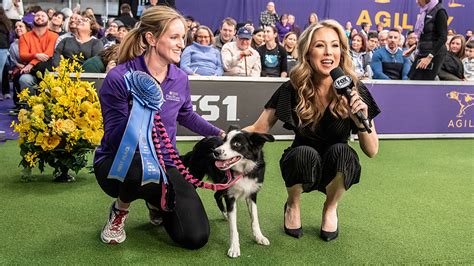 P Nk The Border Collie Wins Masters Agility Championship
