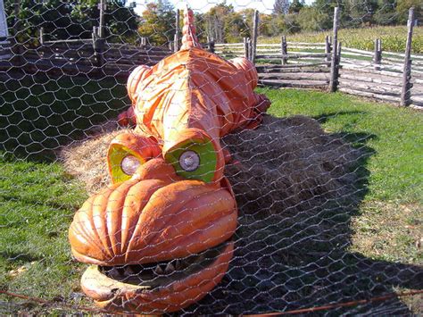 pumpkin dinosaur flickr photo sharing