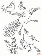 Uccelli Stilizzati Disegno Stampare Alcuni sketch template