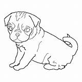 Pug Outline Dog Coloring Drawing Pages Dogs Drawings Pugs Face Template Color Line Cute Clipart Cliparts Print Size Luna Sheets sketch template