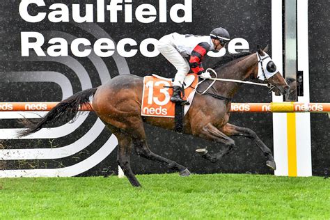 gunstock smashes rivals  group  coongy cup  caulfield