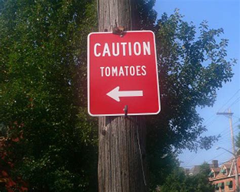 Weird Signs That Could Seriously Use An Explanation