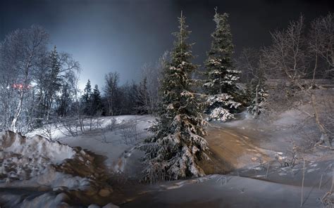 night landscape trees snow ice winter wallpapers hd desktop