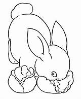 Coloring Pages Rabbits Bunny Rabbit Printable Popular Eating sketch template