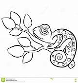 Chameleon Coloring Pages Printable Print Getdrawings Color Getcolorings sketch template