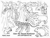 Habitat Coloring Pages Animal Getdrawings sketch template