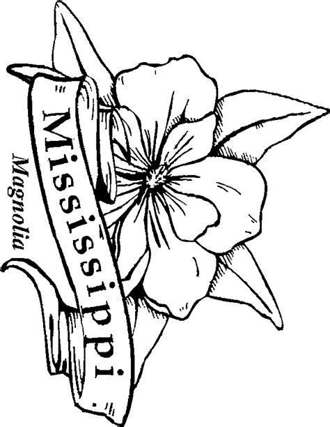 state flowers coloring pages  kids