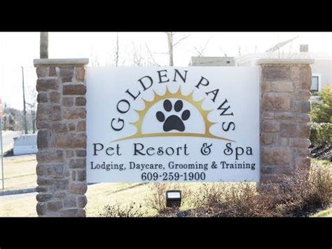 golden paws pet resort spa   facility youtube