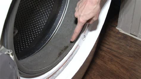 eliminate mold mildew   washing machine