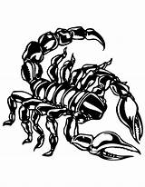 Scorpion Coloring Pages Color Kids Print Shells sketch template
