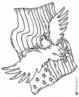 Eagle Coloring Pages Flag American sketch template