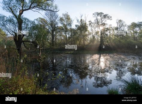 hobokense polder stock photo alamy