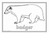 Animals American North Colouring Pages Coloring Preview sketch template