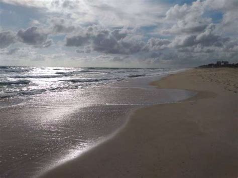 ferias tem praia  futuro toda propria  banho superintendencia estadual  meio ambiente