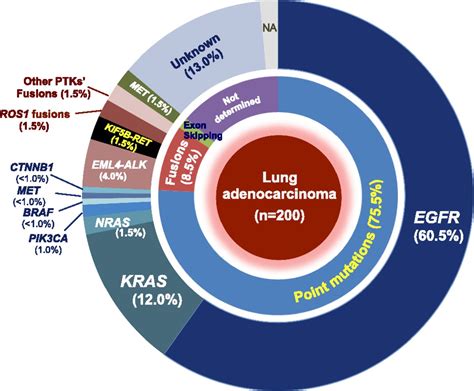 The Transcriptional Landscape And Mutational Profile Of Lung Adenocarcinoma