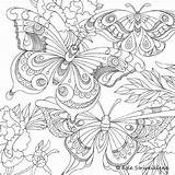 Coloring Pages Color Butterfly Crazy Adult Adults Book Printable Print Crafts Getcolorings Books Colouring Sheets Calyspo Card Soul Choose Board sketch template