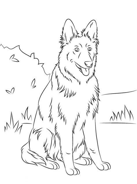 shepherd coloring pages    print