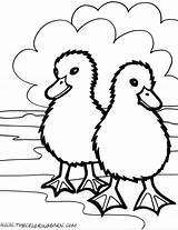 Animals Farm Coloring Pages Animal Printable Kids Color Simple Cute Zoo Barn Print Book Drawings Ducks Sketches Planet Bestofcoloring Cartoon sketch template