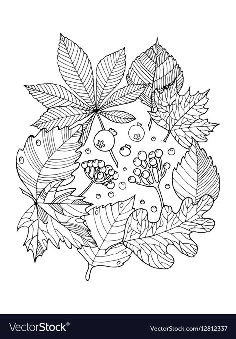 tree leaves coloring book royalty  vector image