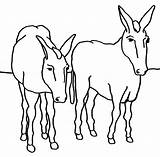 Burros Burro Pintar Donkeys Ninos Anipedia Paginas Donkey sketch template