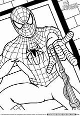 Coloring Pages Man Spider Spiderman Cartoon Character Sheets Superhero Printable Kids Found Color sketch template