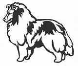 Sheltie Clipart Sheepdog Shetland Dog Clipground Shelties Standing Dogstampsplus sketch template