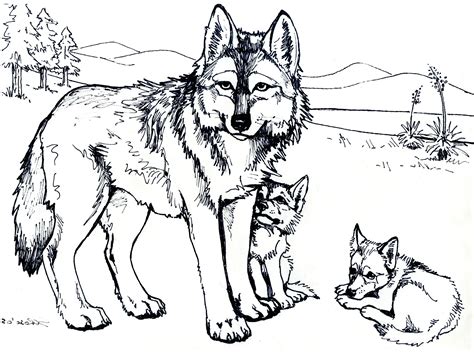 wolf coloring pages  adults  printable wolf coloring pages