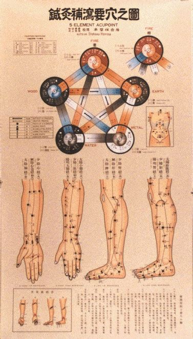 acupuncture and reflexology charts posters and cards