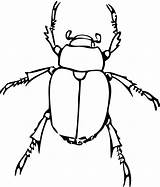 Bug Line Drawing Drawings Clip Coloring Insects Insect Clipart Colouringbook Drawn sketch template