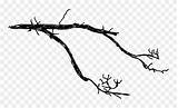 Clipart Twig Drawing Pinclipart Clipartmag sketch template
