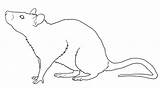 Rats Rat Drawing Outline Lineart Deviantart Tattoo Line Drawings Cute Coloring Kids Animals Fc02 Pages Animal Mice Paintingvalley Dragon Fs71 sketch template