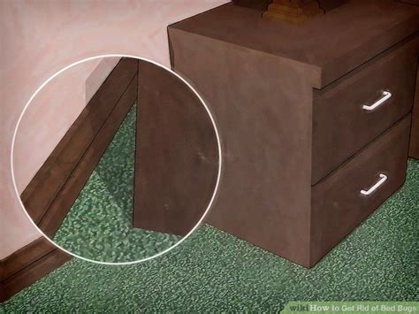 rid  bed bugs  pictures wikihow