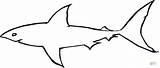 Shark Outline Great Coloring Drawing Basking Printable Clipart Pages Sharks Super Clipartbest Cliparts Clip Use Computer Designs Choose Board Supercoloring sketch template