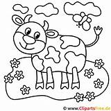 Ausmalen Kuh Malvorlage Drucken Ausmalbilder Malvorlagen Calf Kinderbilder Bauernhof sketch template