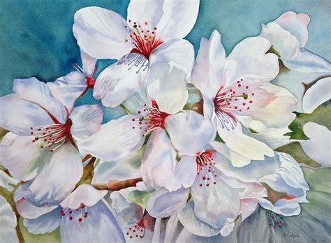 Cherry Blossom C Painting By Diane Fujimoto