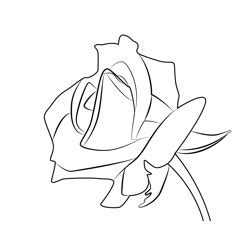 red rose coloring page  kids  rose printable coloring pages