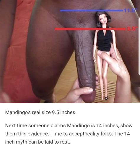 porn star cocks exposed and bbc myth debunked 9 pics